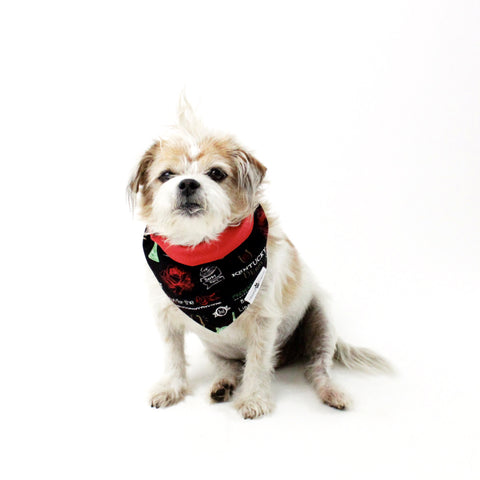 Image of Surprise Mixture of Dog Bandanas and Accessories in different Bundles | Hound and Friends