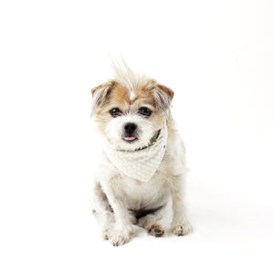 Buddy Reversible Tie-on Dog Bandanas and Accessories | Hound and Friends