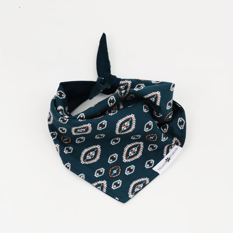 Image of Calvin Reversible Dog Bandanas matching with their owners | Hound and Friends
