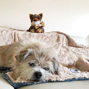 Luxury Faux Fur Beige Blankets for your pets and people from Hound and Friends