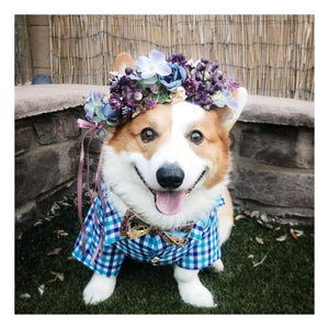 Finn Flower Floral Crown for dogs and people to match at Hound and Friends