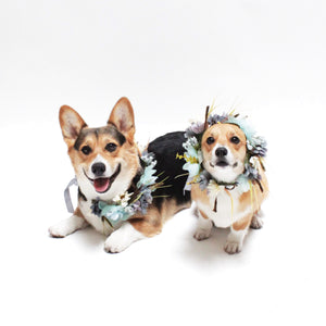 Fitzgerald Flower Crown for Dogs, people and pets | Hound and Friends