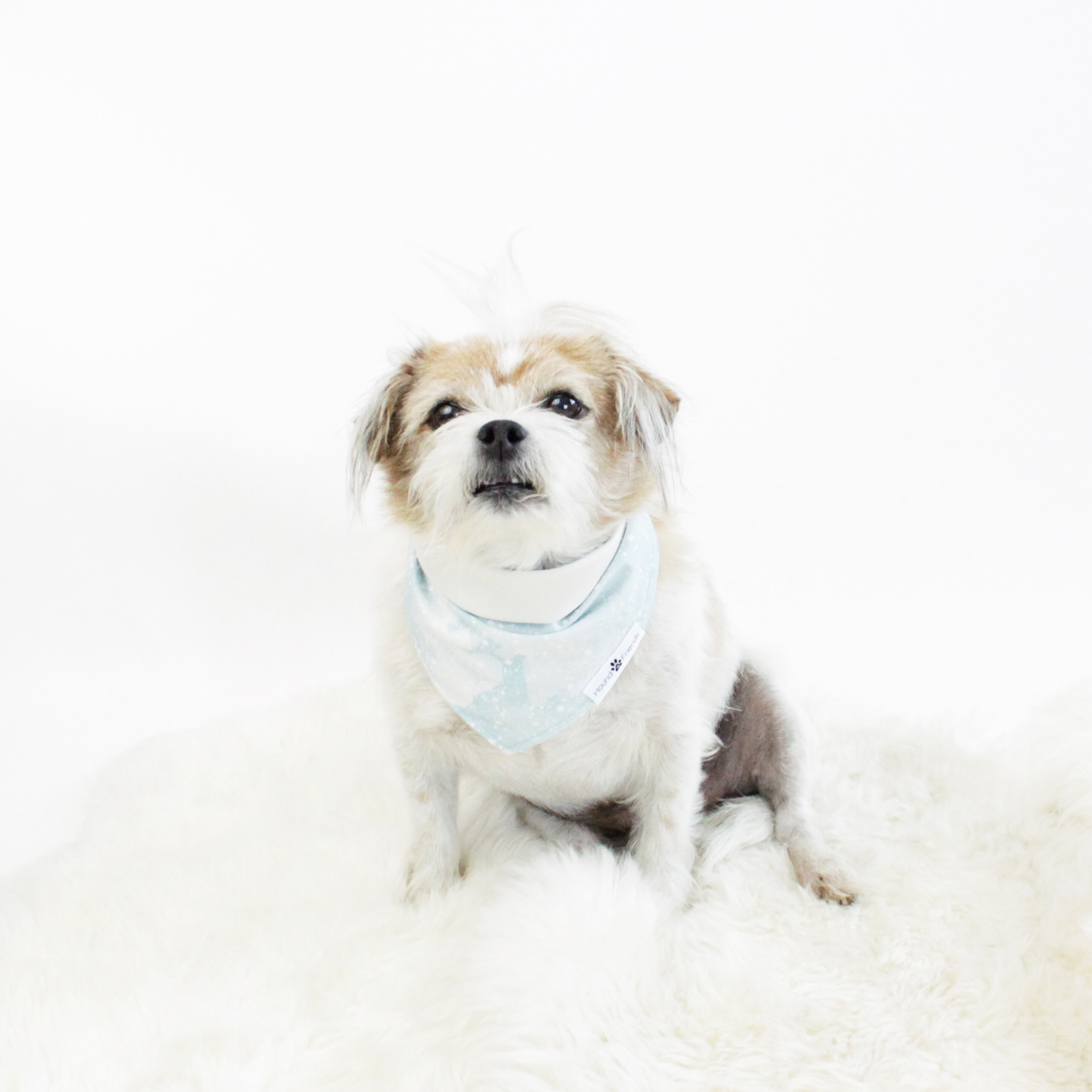 Holiday Dogs and Pets Bandanas and Accessories | Hound and Friends