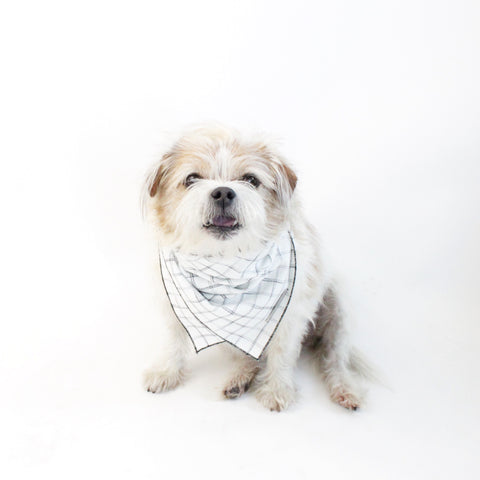 Image of Gus Reversible Dog Bandana to match with people and pups | Hound and Friends