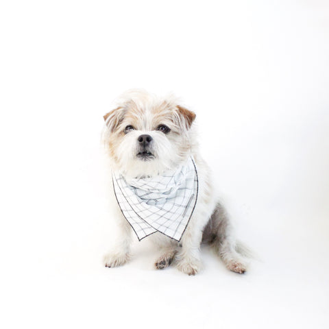 Image of Gus Reversible Dog Bandana to match with people and pups | Hound and Friends