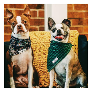 Abstract Pattern Prints Dog Bandana Bundle Deals to buy in 2021 | Hound and Friends