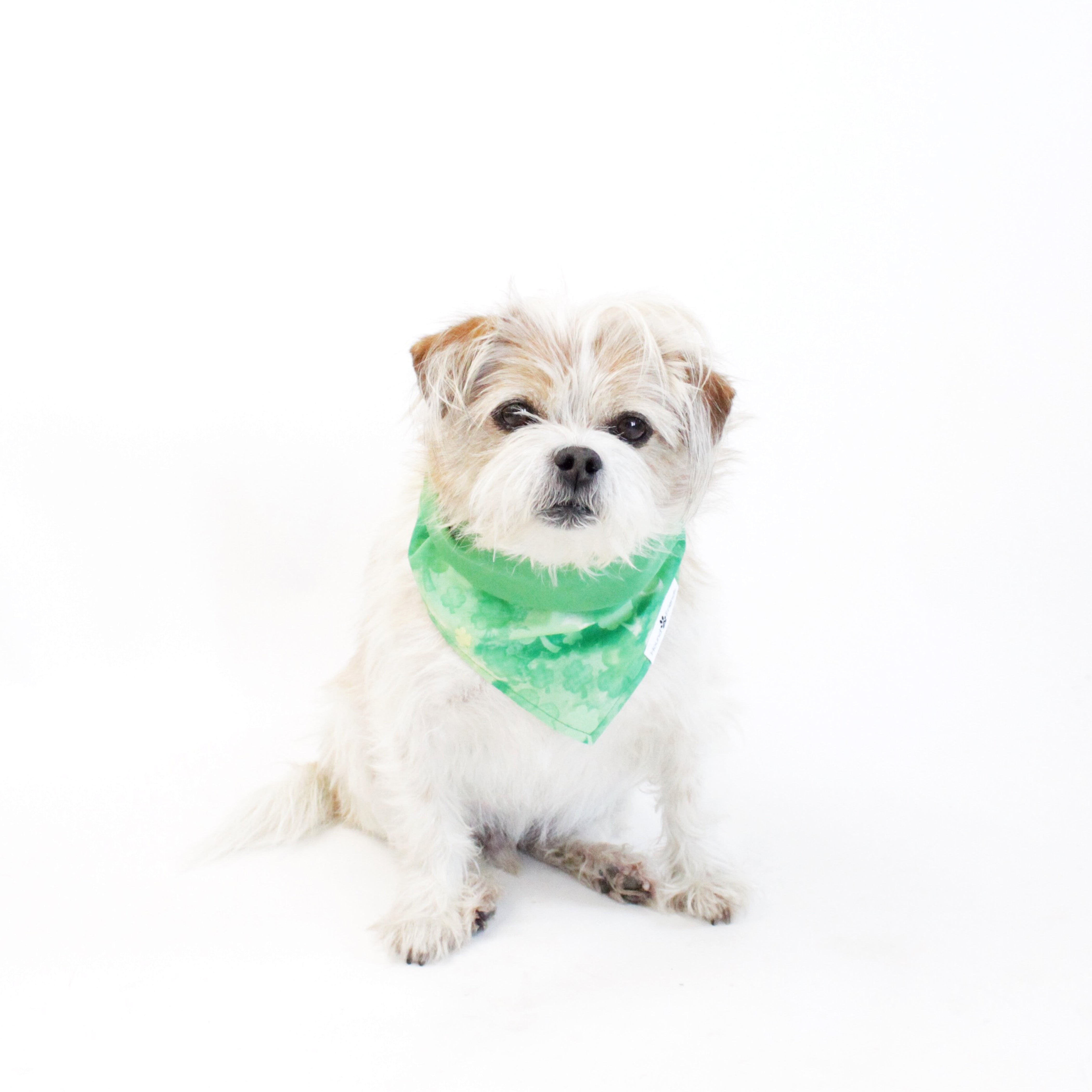 Jade Reversible Bandana