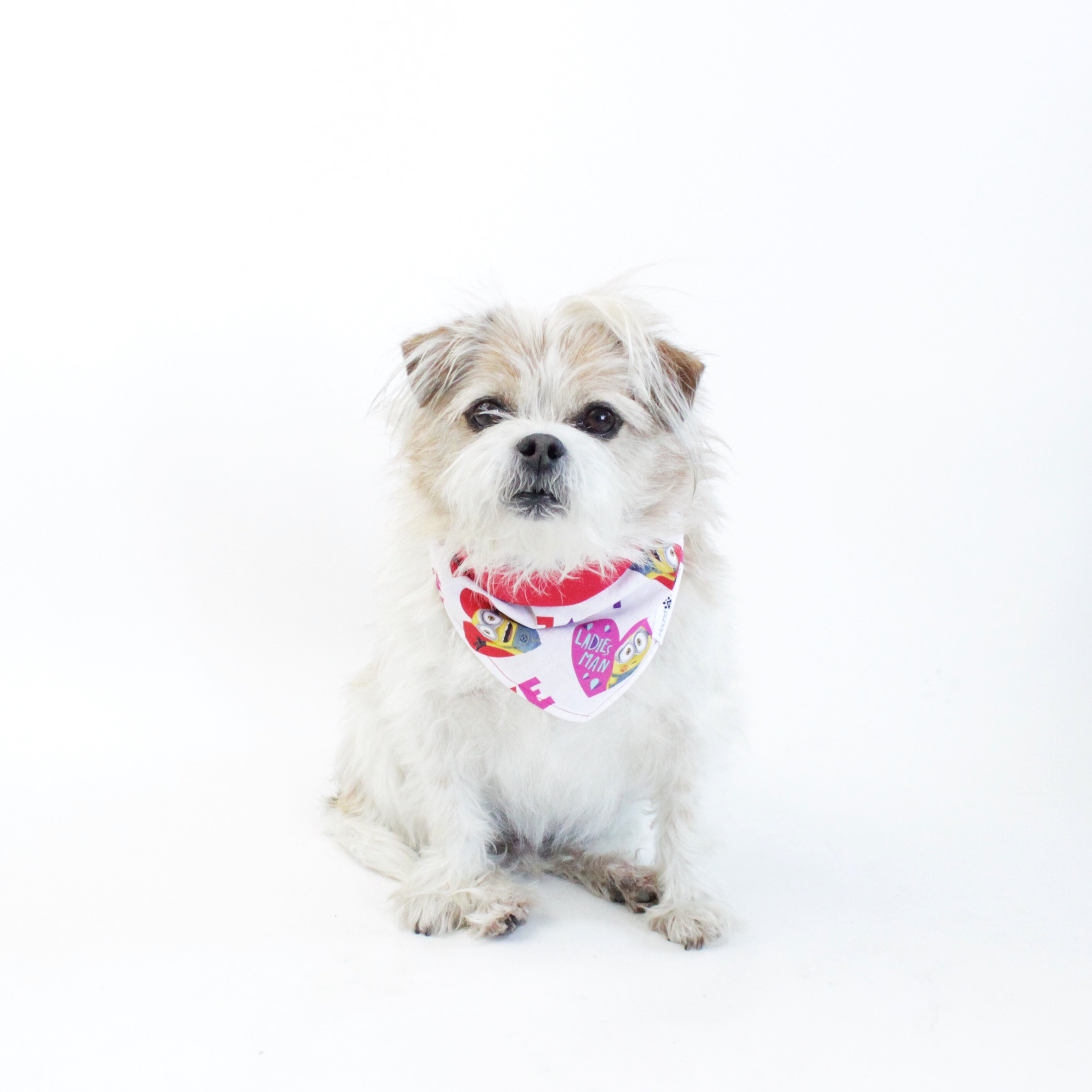 Holiday Dogs and Pets Bandanas and Accessories | Hound and Friends