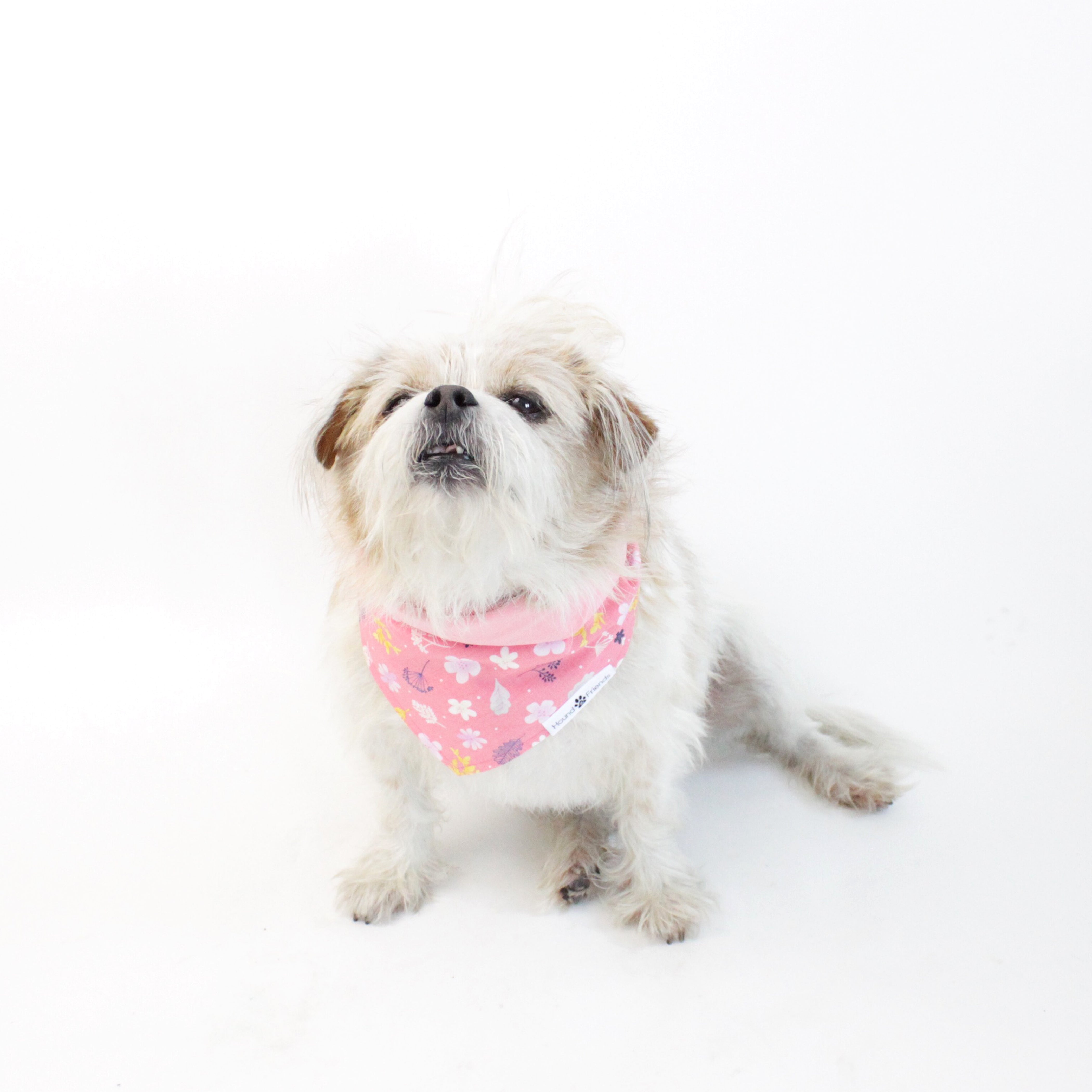 Floral Matching Dog Bandana Bundle Deal | Hound and Friends