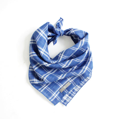 Image of Marvin Reversible White and Blue Plaids Bandana for Matching Dog Bandanas and Accessories | Hound and Friends