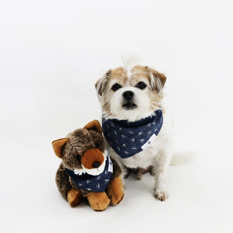 Image of Mochi Chambray Denim Reversible Dog Bandana matching with owner | Hound and Friends