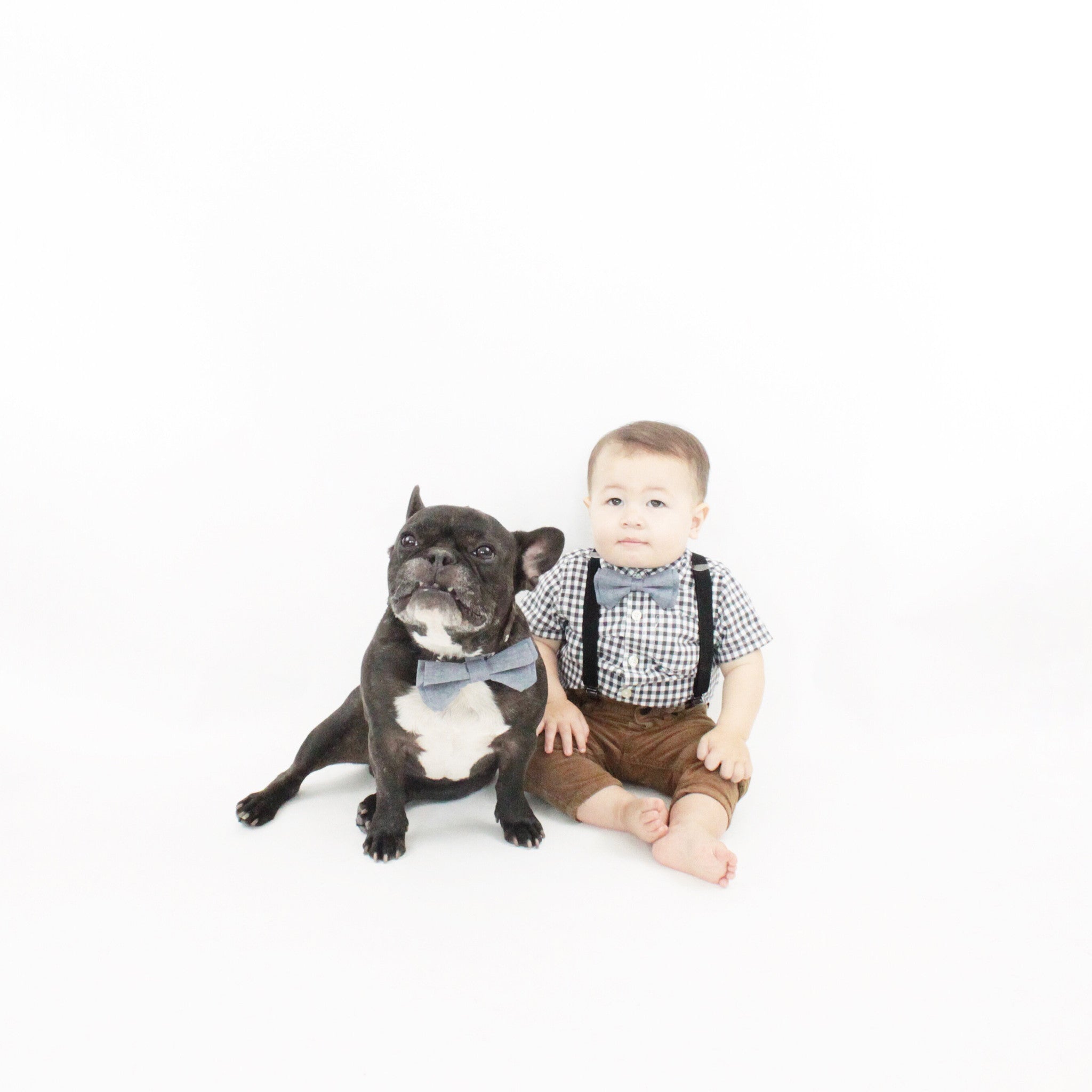 Waffles Dog Bow Tie Collar