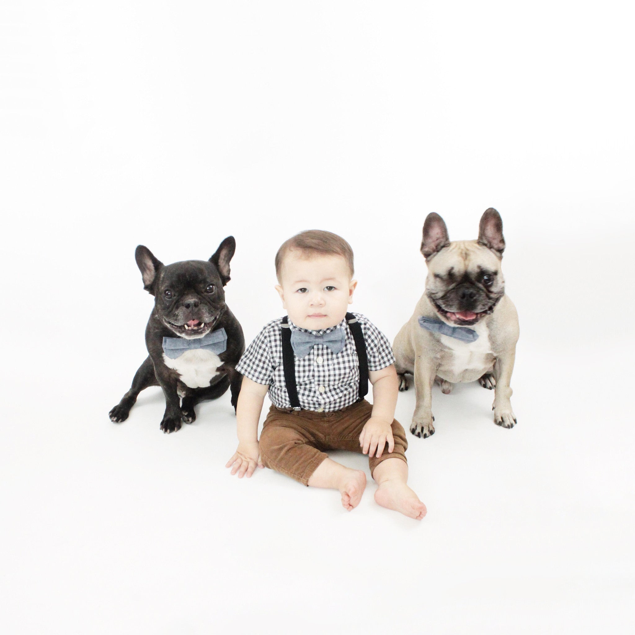 Waffles Dog Bow Tie Collar