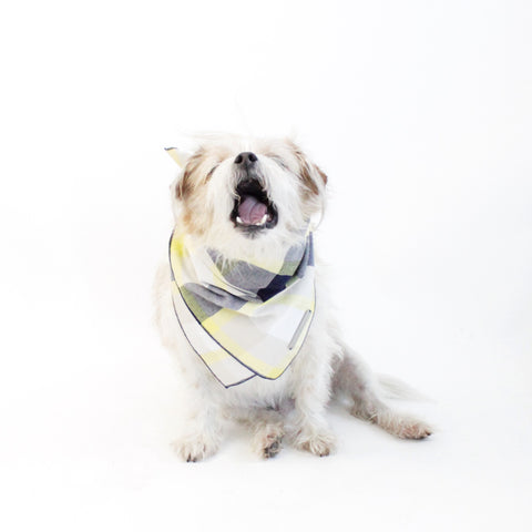 Image of Ro Reversible Tie-on Blue and Yellow Plaids Bandana for Matching Dog Bandanas and Accessories | Hound and Friends