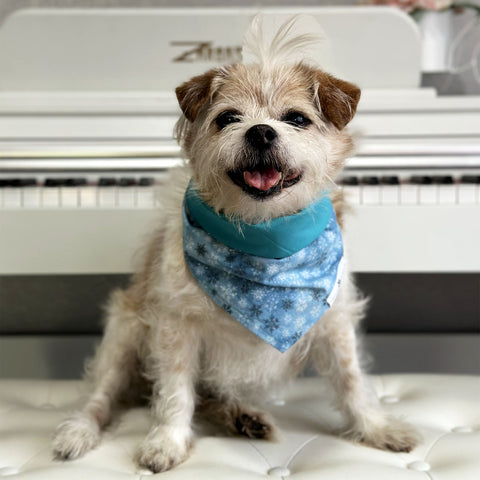 Image of Handmade dog bandana matching with their owners. Hound and Friends. Cute and fun pet accessories. Christmas Glitter Sparkle Snowflakes Holidays reversible bandana. Blue Bandanas.