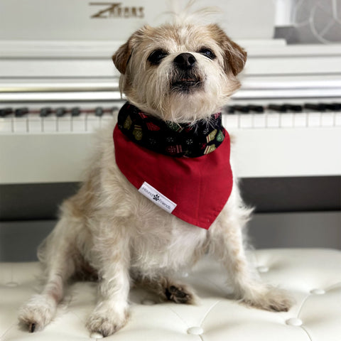 Image of Handmade dog bandana matching with their owners. Hound and Friends. Cute and fun pet accessories. Christmas Mittens Holidays reversible bandana. Red green black Bandanas.