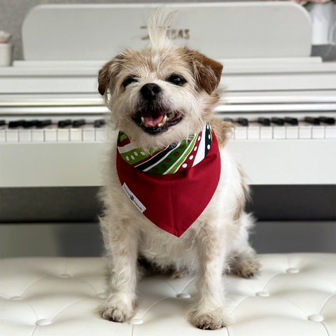 Image of Handmade dog bandana matching with their owners. Hound and Friends. Cute and fun pet accessories. Christmas Present Holidays reversible bandana. Red green white Bandanas.