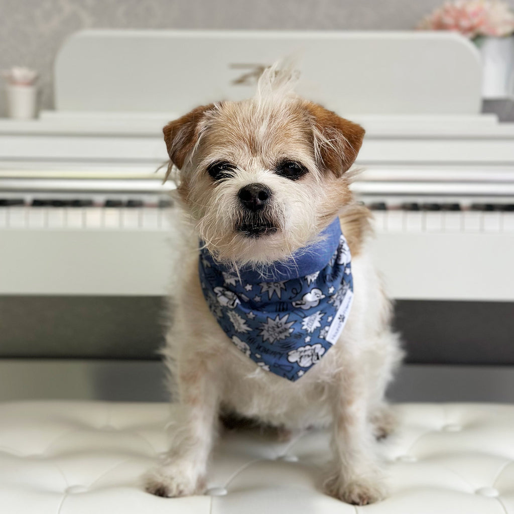 Puppies Of The Kraken Pet Bandana Collar In Deep Sea Blue - Shop