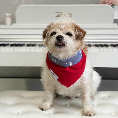 Image of Handmade dog bandana matching with their owners. Hound and Friends. Cute and fun pet accessories. LA Dodgers reversible bandana. Red Bandanas.