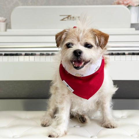 Image of Handmade dog bandana matching with their owners. Hound and Friends. Cute and fun pet accessories. Marvels reversible bandana. Red Super hero Bandanas.