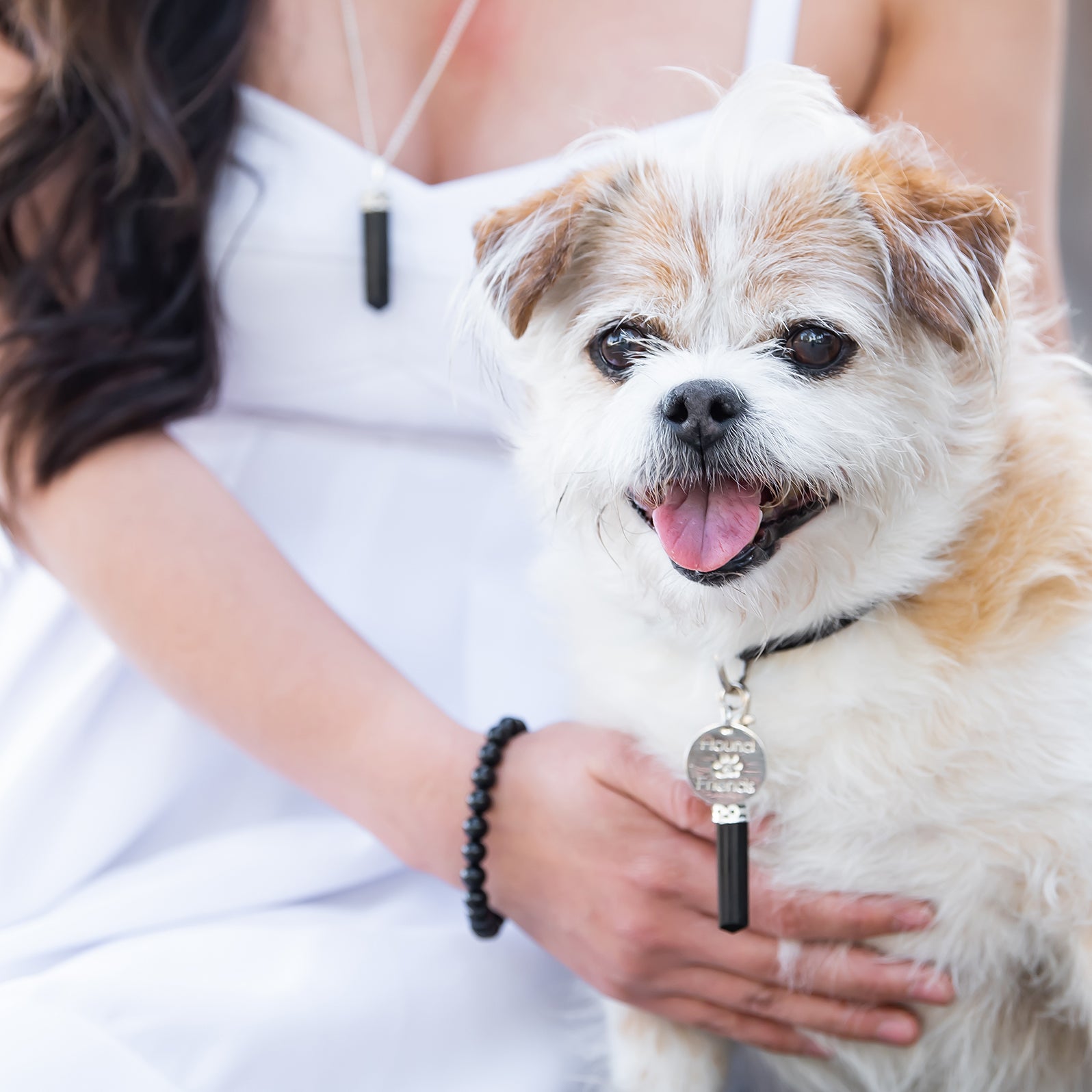 Mister's Mystery Goodies. 13 items for $13 of fun surprises for people and their pets. Hound and Friends.