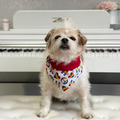 Image of Handmade dog bandana matching with their owner. Hound and Friends. Cute and fun pet accessories. Rainbow Pride reversible bandana.