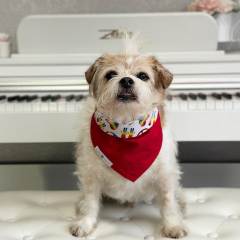 Image of Handmade dog bandana matching with their owner. Hound and Friends. Cute and fun pet accessories. Rainbow Pride reversible bandana.