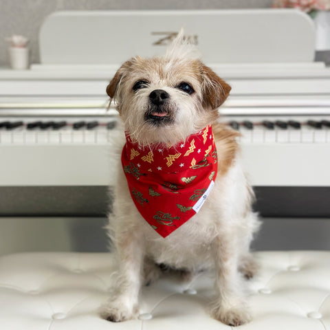 Image of Handmade dog bandana matching with their owners. Hound and Friends. Cute and fun pet accessories. Red Wonder Woman reversible bandana. Metallic Bandanas.