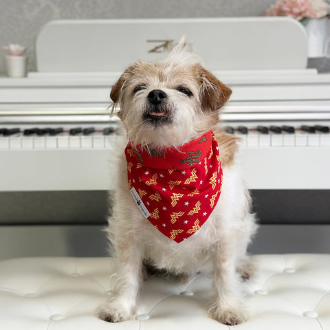 Image of Handmade dog bandana matching with their owners. Hound and Friends. Cute and fun pet accessories. Red Wonder Woman reversible bandana. Metallic Bandanas.