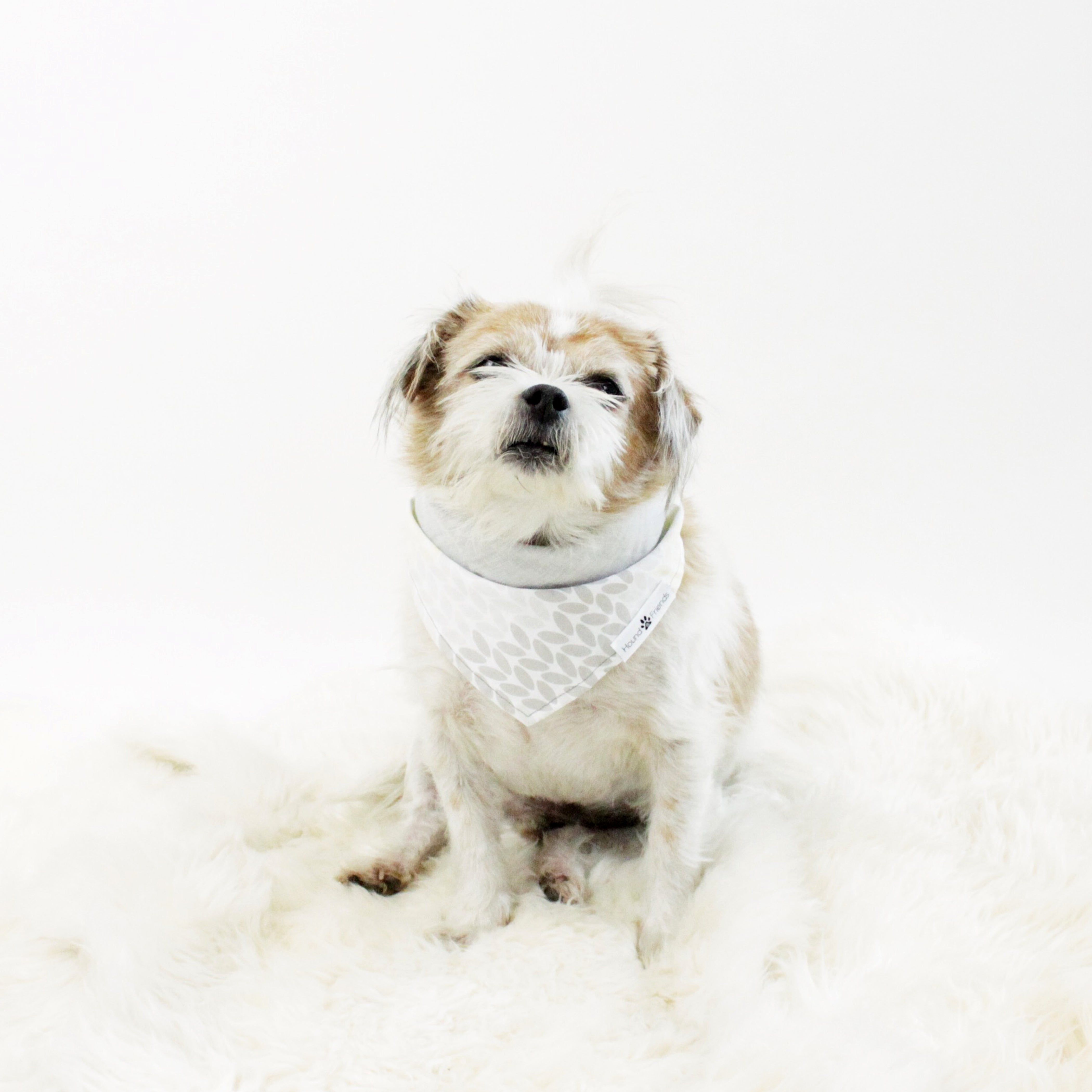 Abstract Pattern Prints Dog Bandanas in Bundle Deal | Hound and Friends