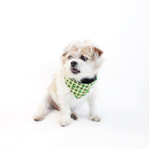 Image of Bailey Reversible Bandana