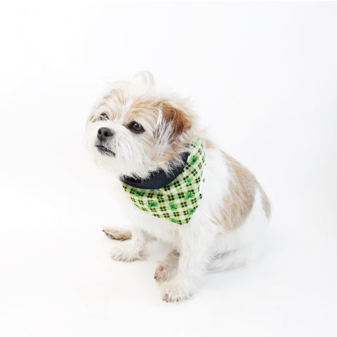 Image of Bailey Reversible Bandana