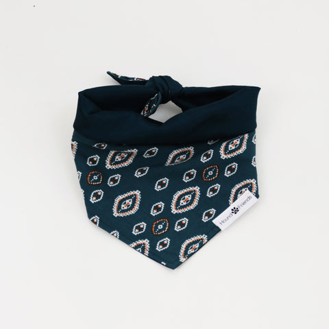 Image of Calvin Reversible Dog Bandanas matching with their owners | Hound and Friends