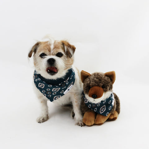 Image of Calvin Reversible Dog Bandanas matching with their owners | Hound and Friends