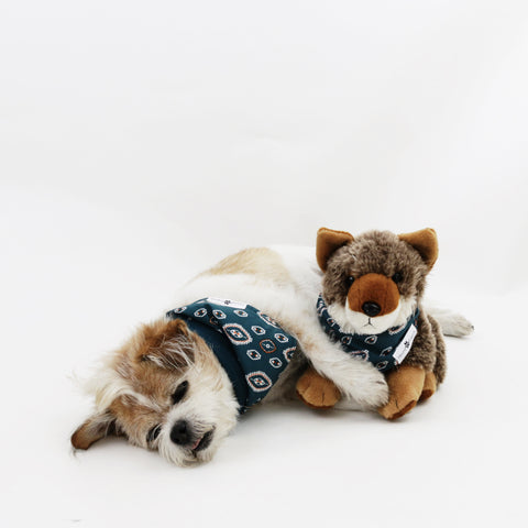 Image of Calvin Reversible Dog Bandanas matching with their owners | Hound and Friends