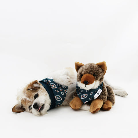 Image of Calvin Reversible Dog Bandanas matching with their owners | Hound and Friends