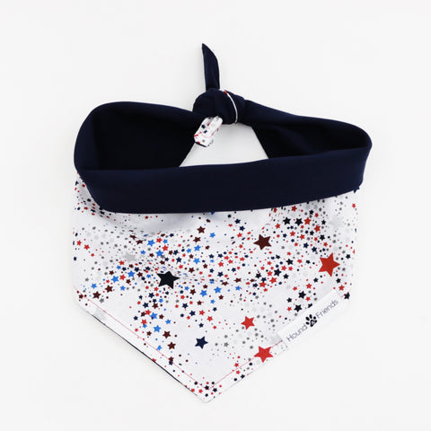 Image of Captain Reversible 4th of July stars dog Bandana matching with owners at Hound and Friends