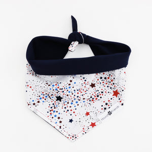 Captain Reversible 4th of July stars dog Bandana matching with owners at Hound and Friends