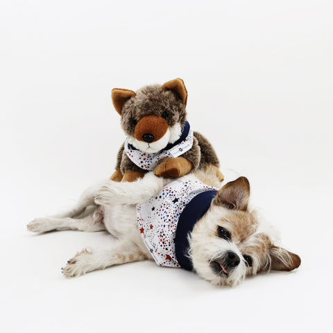 Image of Captain Reversible 4th of July stars dog Bandana matching with owners at Hound and Friends