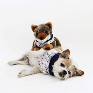 Captain Reversible 4th of July stars dog Bandana matching with owners at Hound and Friends