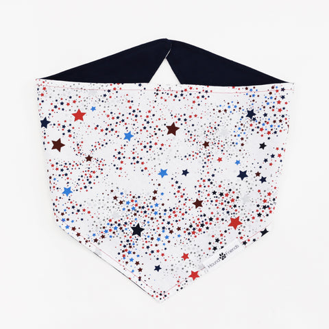 Image of Captain Reversible 4th of July stars dog Bandana matching with owners at Hound and Friends