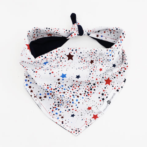 Image of Captain Reversible 4th of July stars dog Bandana matching with owners at Hound and Friends