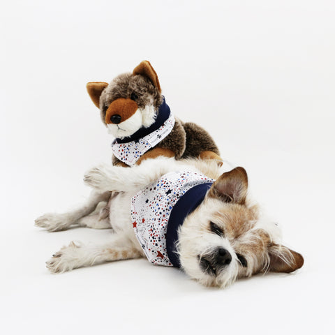 Image of Captain Reversible 4th of July stars dog Bandana matching with owners at Hound and Friends
