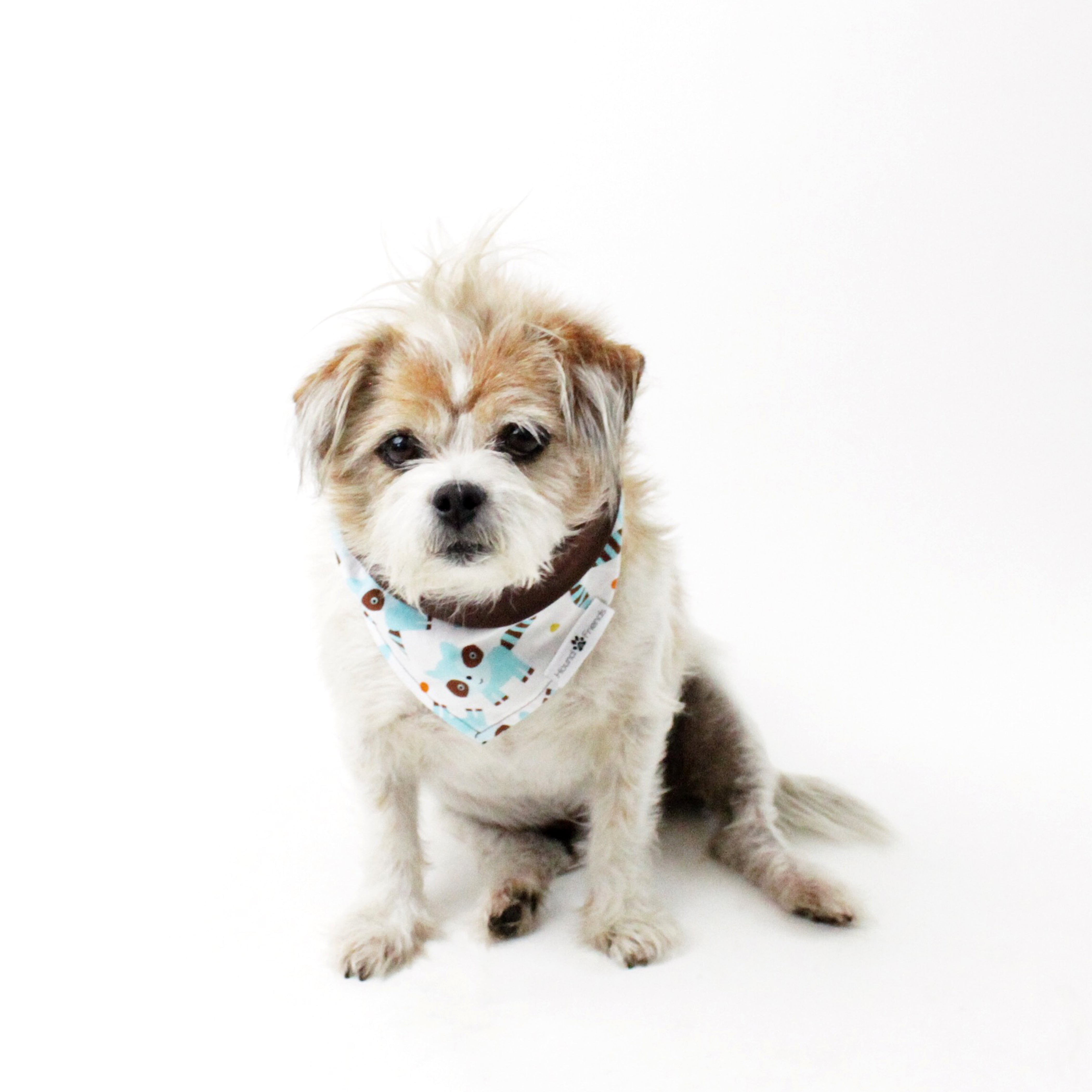 Characters and Animal Prints for Dog Bandanas with Bundle Deals | Hound and Friends