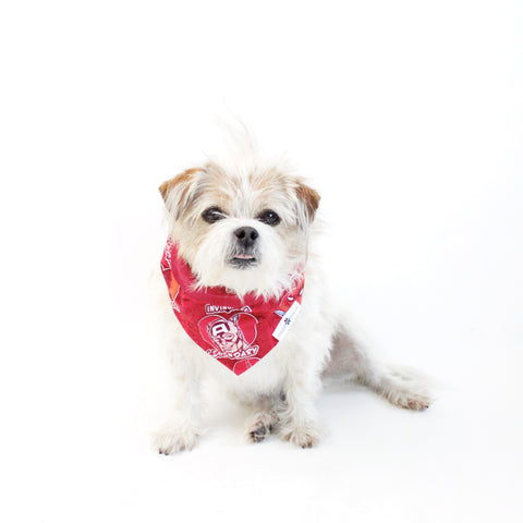 Image of Chip Reversible Bandana