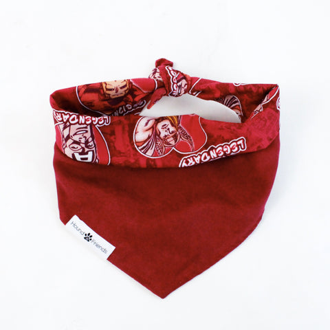 Image of Chip Reversible Bandana