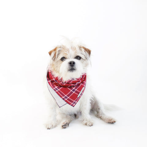 Image of Dara Reversible Tie on Dog Square Bandana | Hound and Friends