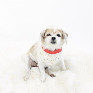 Holiday Dogs and Pets Bandanas and Accessories | Hound and Friends