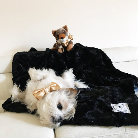 Image of Luxury Faux Fur Black Blankets for your pets and people from Hound and Friends