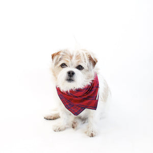 Fientje Reversible Tie On Dog Bandanas | Hound and Friends